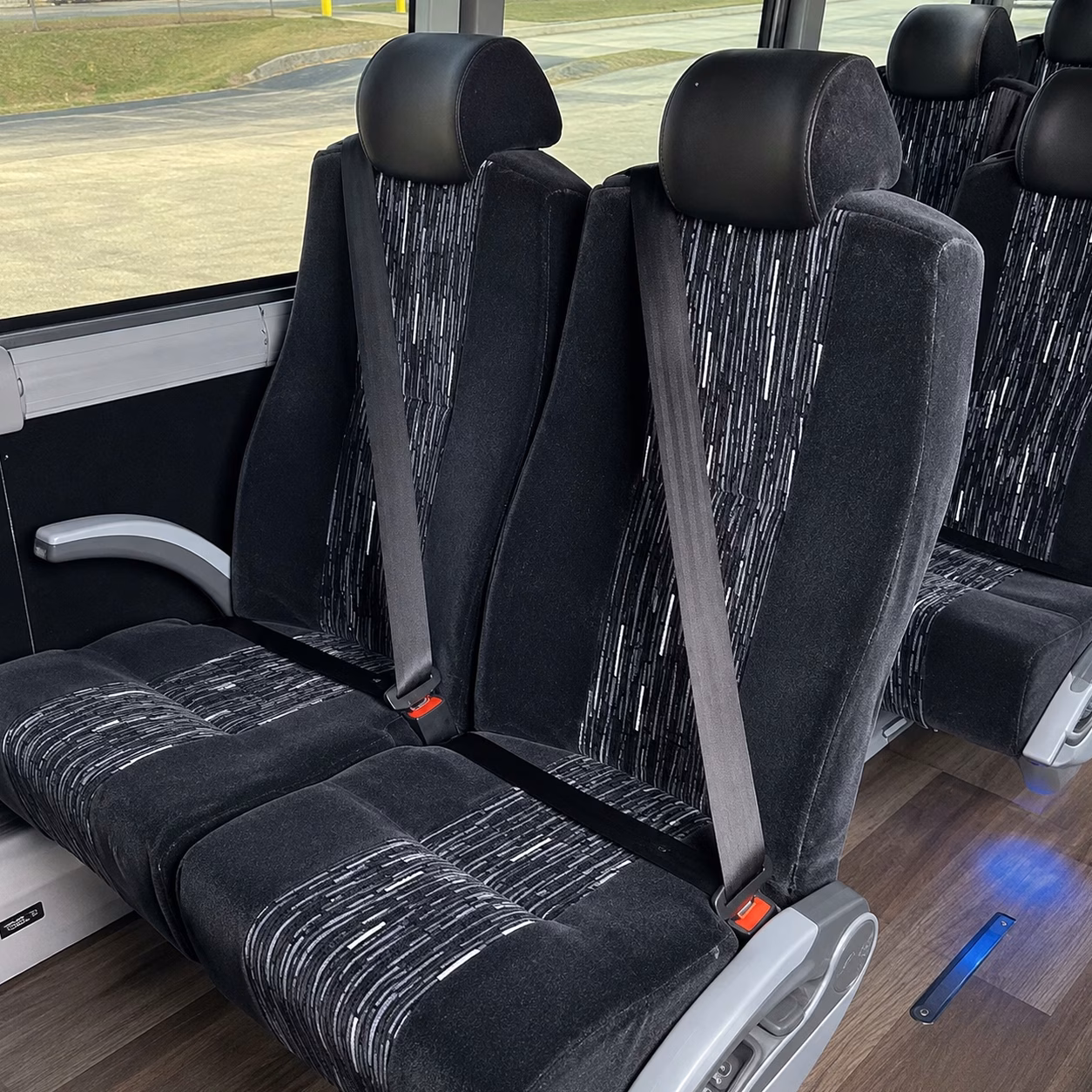 arvada charter buses for stem and zoo field trips
